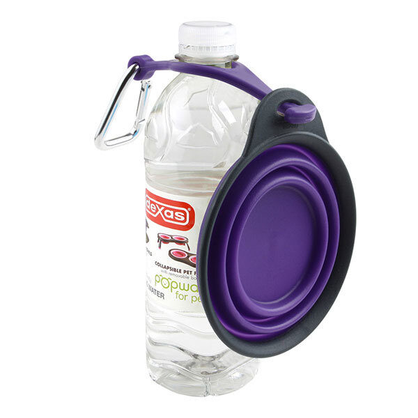 Dexas Travel Cup Various Colours & Designs