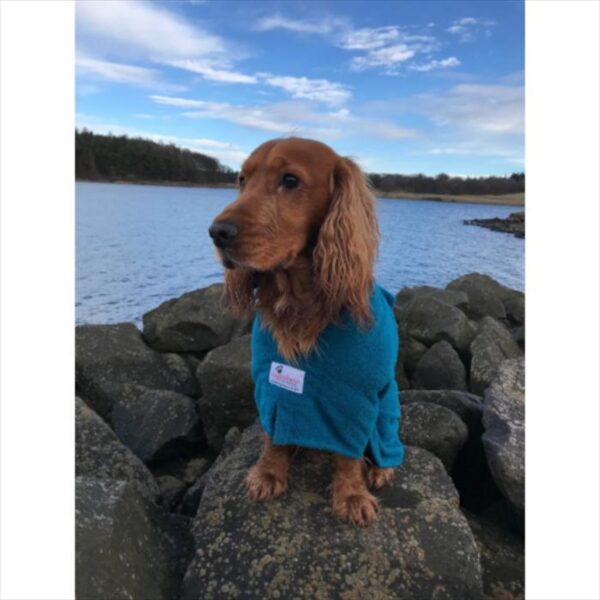Dog Robes Various Sizes & Colours