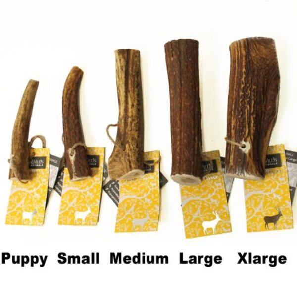 Green and Wilds Antler Bars