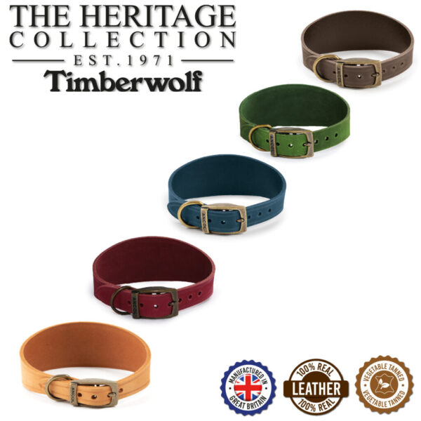 Ancol Leather Hound Collar