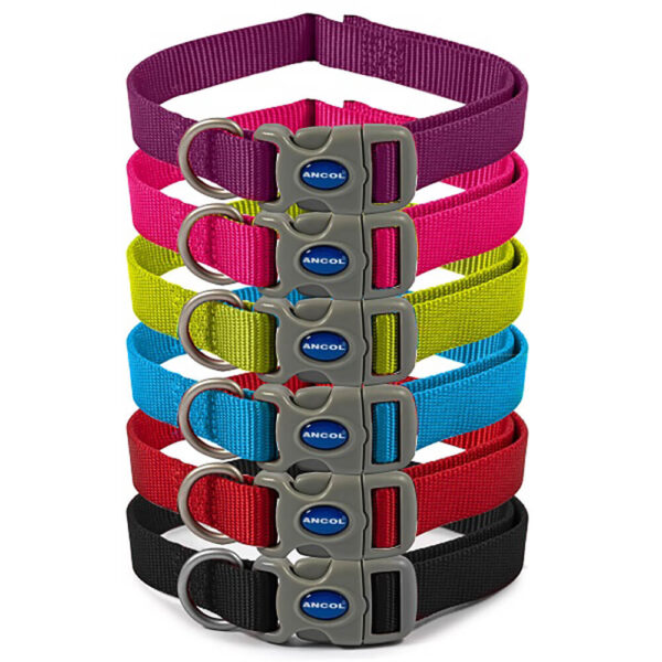 Ancol Viva Collar