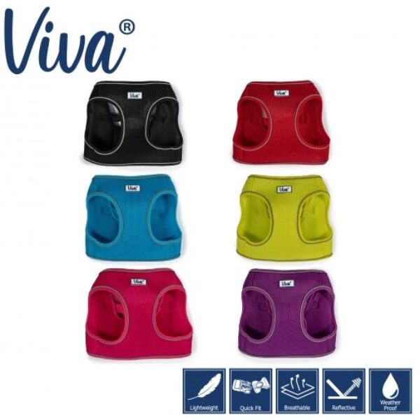 Ancol Viva Step In Harness
