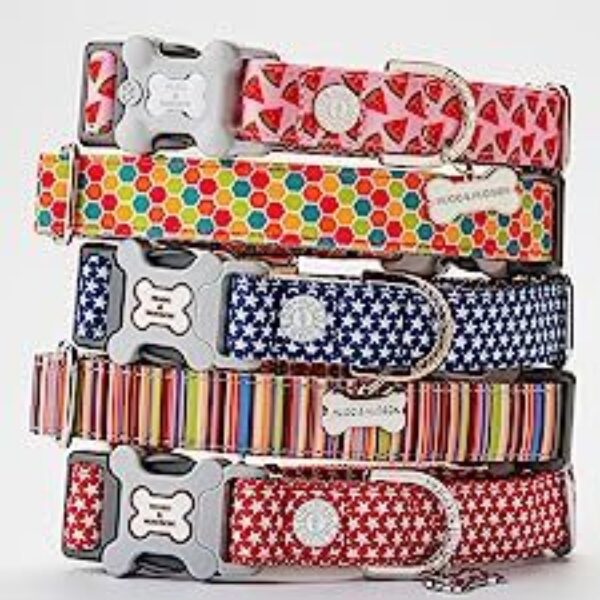 Hugo and Hudson Dog Collars