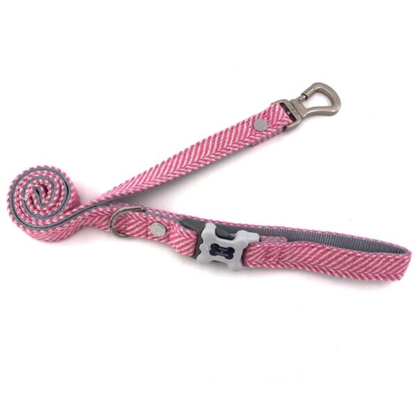 Hugo and Hudson Dog Leads